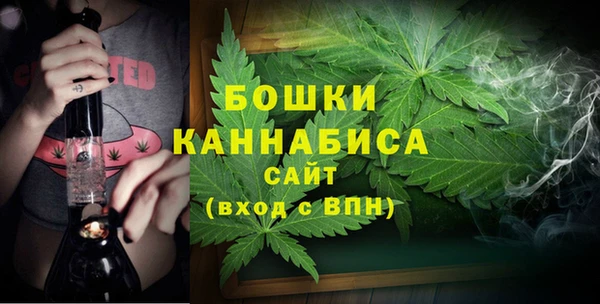 соль ск Касимов