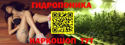 шишки Ликино-Дулёво